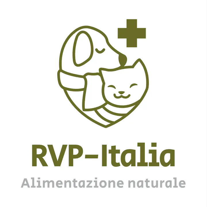 Immagine per la partnership Reico Vital Partners Italia. Lavora online con noi